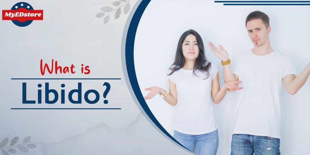 What is Libido?
